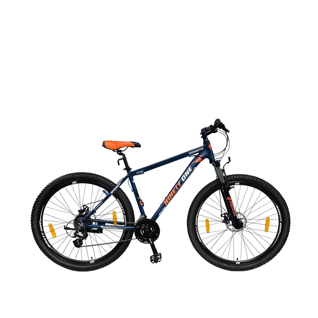 NINETY-ONE-29-SHADOWFAX-MS