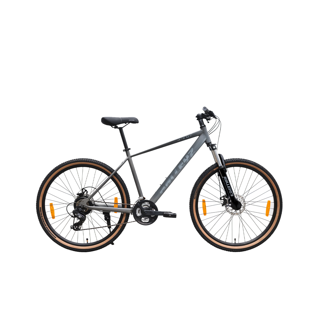 Ralleyz27.5-one-argento