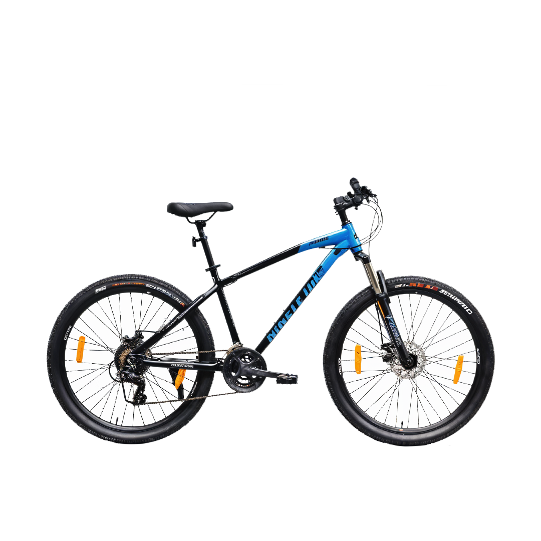 ninetyone26-drago-MS-ss